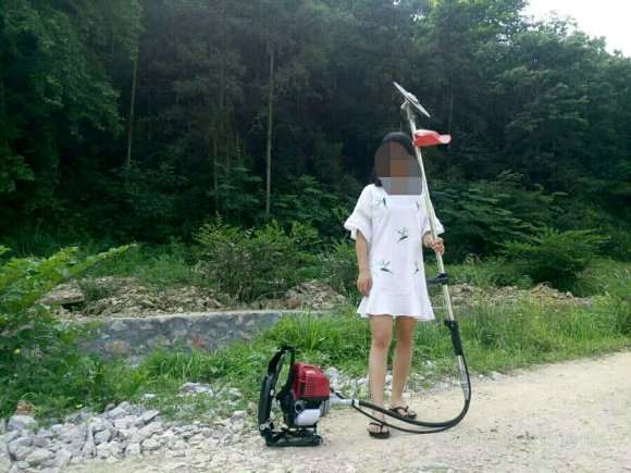 努力把这个多肉大棚干好把