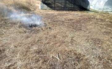 多肉大棚的 这草长的 我已经绝望了