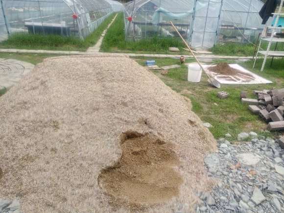 新加的两个多肉大棚到货了