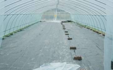 2个多肉大棚已经搭建一个了 图片