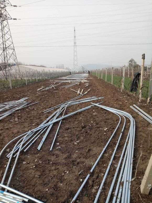 搭建一个多肉大棚的坎坷经历