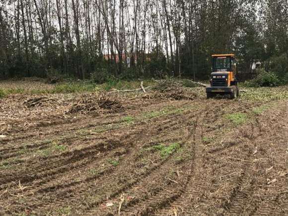 搭建多肉大棚 要投资多少钱