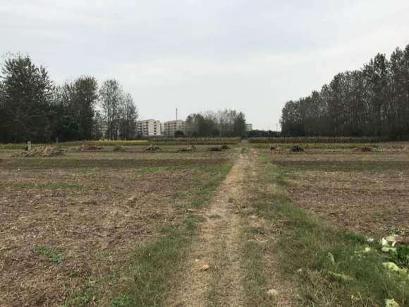 搭建多肉大棚 要投资多少钱