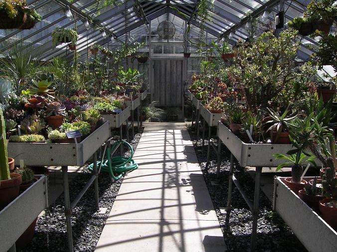 多肉大棚该怎么搭建比的7个问题