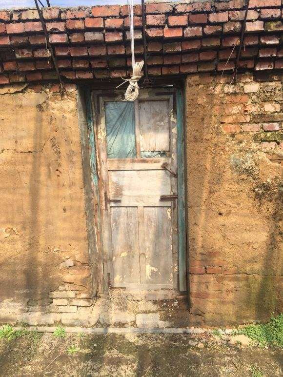 当年搭建的多肉大棚 全荒废了 图片