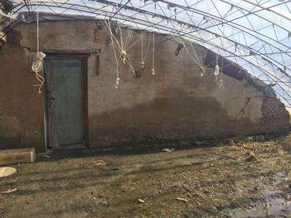 当年搭建的多肉大棚 全荒废了 图片