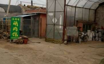 沈阳尹家多肉大棚地址在哪里 图片