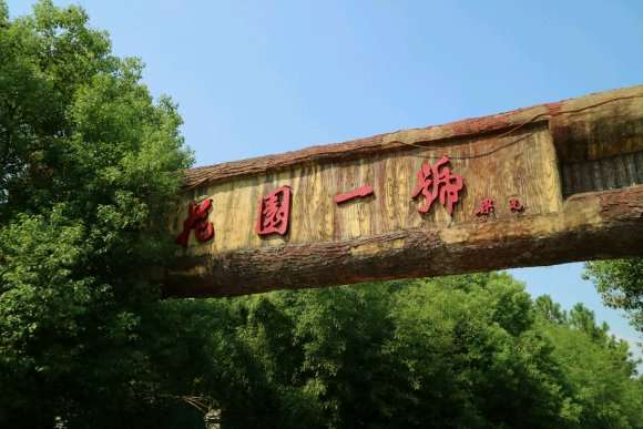 南昌多肉植物大棚地址在哪里