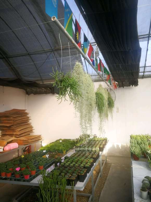 南昌首家多肉大棚在哪里 地址怎么走