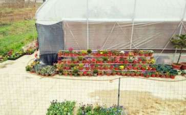 按照地址 终于找到湘潭多肉大棚了