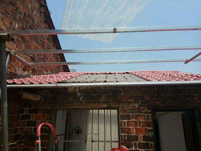 在楼顶搭建的多肉大棚