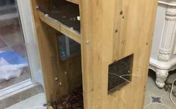 如何模仿大棚自制多肉暖房 图片