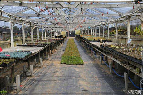 上海多肉大棚地址在哪里