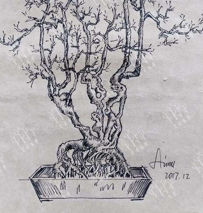 金弹子下山桩桩材设计图