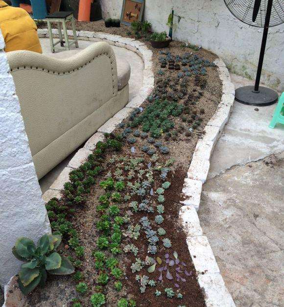 桂林第1家多肉大棚地址在哪里 图片