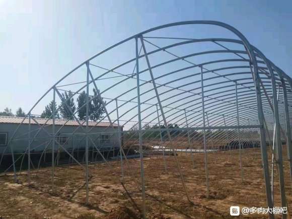 我想租1亩地搭建多肉大棚