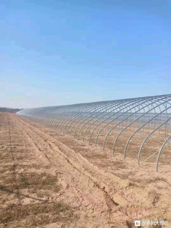 我想租1亩地搭建多肉大棚