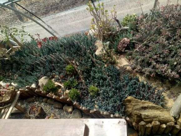 威海多肉大棚地址在哪里