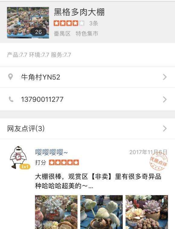 广州多肉大棚地址在哪里