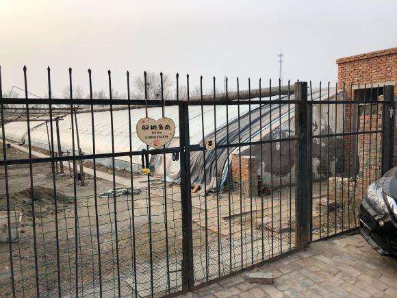 北京多肉大棚地址在哪里