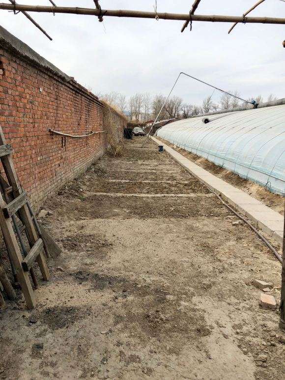 北京多肉大棚地址在哪里