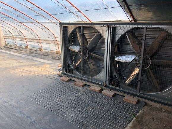 北京多肉大棚地址在哪里