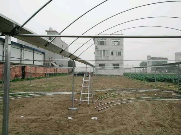 在农村搭建多肉大棚的全程记录