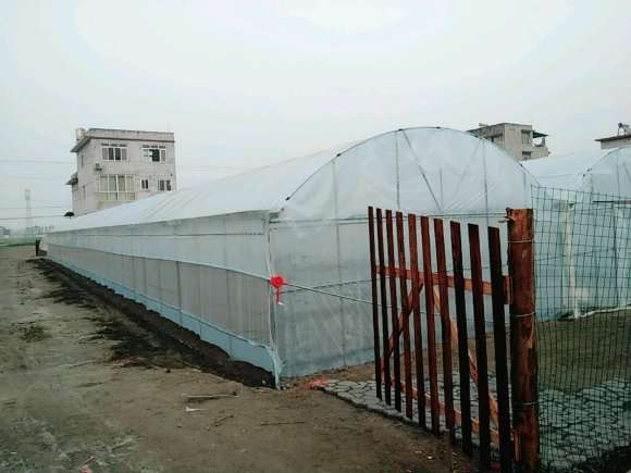 在农村搭建多肉大棚的全程记录