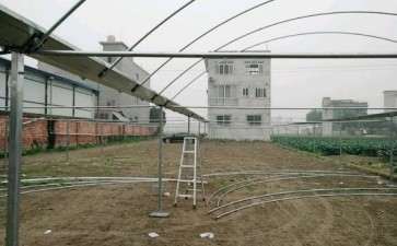 在农村搭建多肉大棚的全程记录