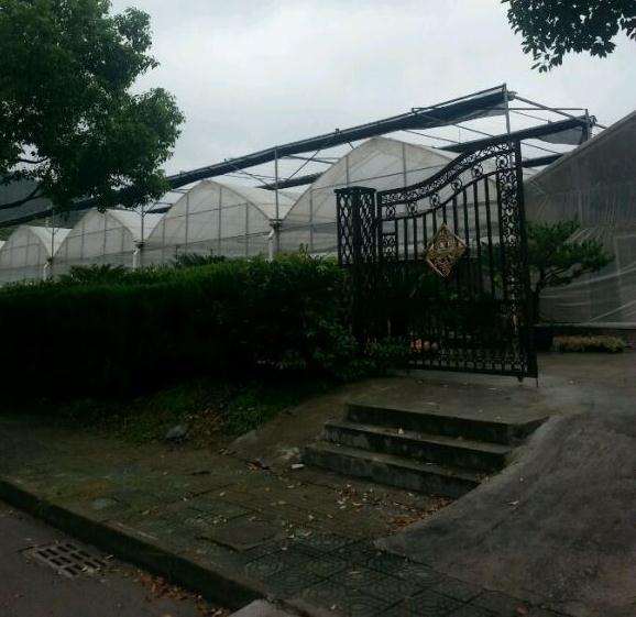 苏州越溪多肉大棚在哪里 求地址