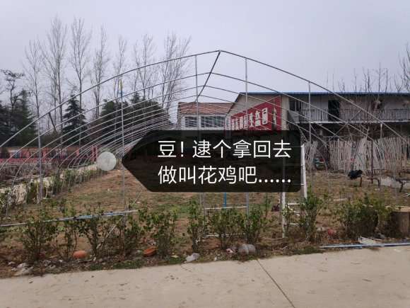 我搭建多肉大棚的过程