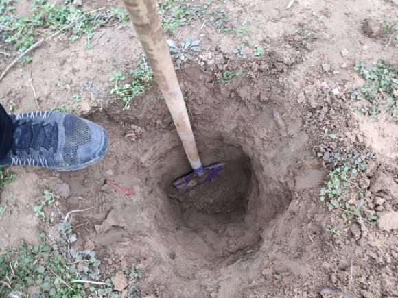 我搭建多肉大棚的过程