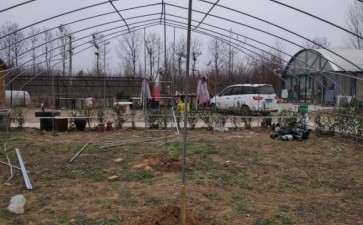 继续发布我搭建多肉大棚的过程 图片