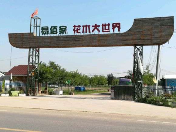 西安哪里有多肉大棚 谁知道地址