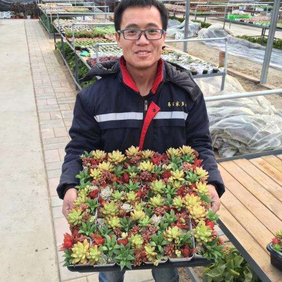 西安哪里有多肉大棚 谁知道地址