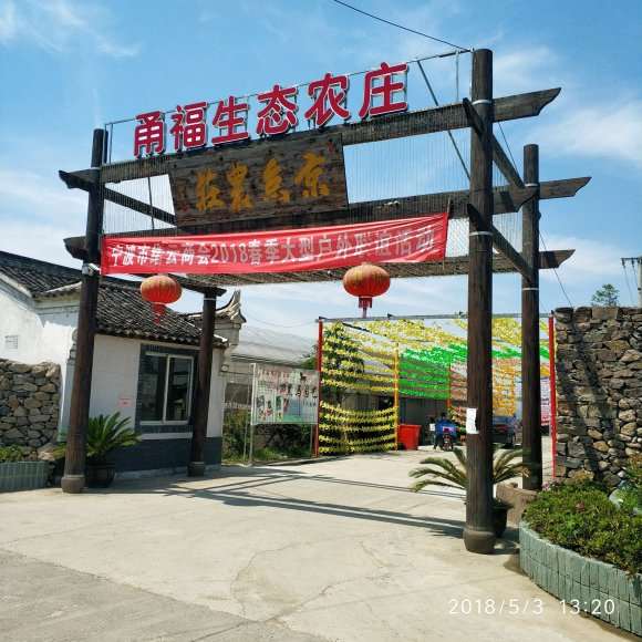 宁波多肉大棚地址在哪里