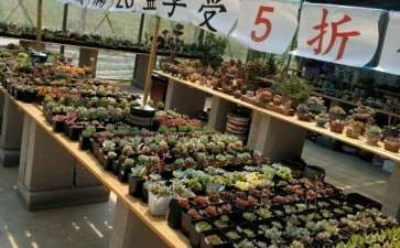 宁波多肉大棚地址在哪里 甬福农业园