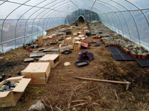 我在贵阳搭建多肉大棚的过程