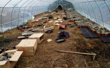 记录贴 我在贵阳搭建多肉大棚的过程