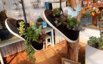 威海哪里有多肉大棚地址 二木花园