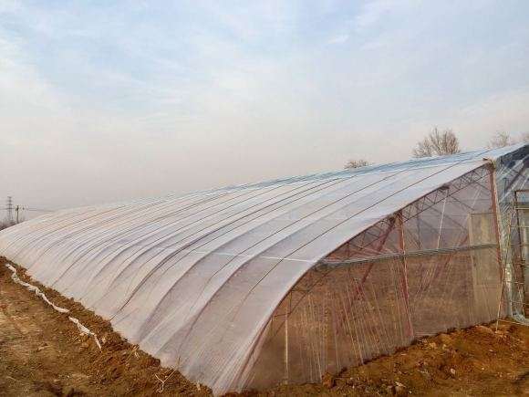 我在山西搭建多肉大棚的过程