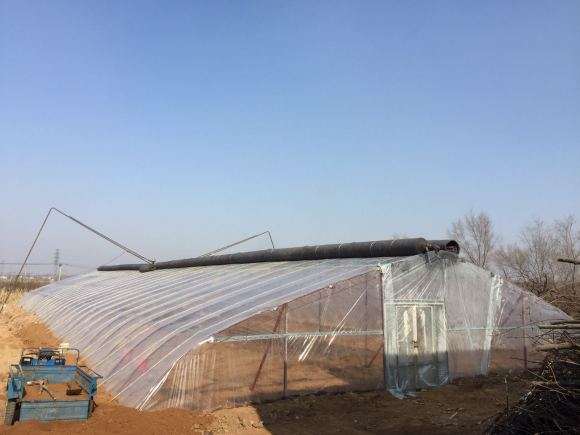 我在山西搭建多肉大棚的过程