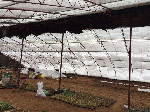 我在山西搭建多肉大棚的过程