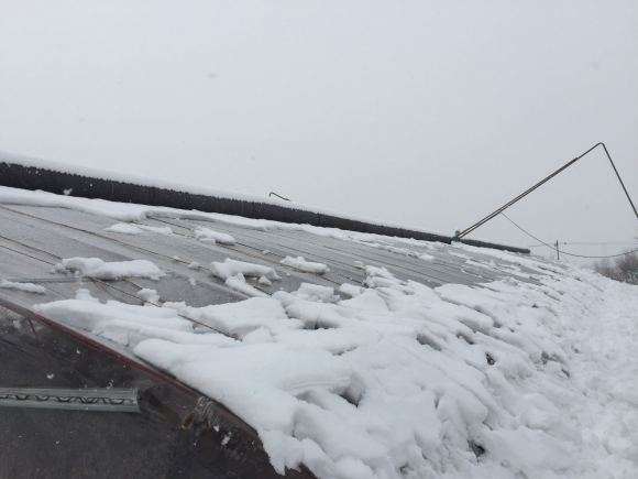 我在山西搭建多肉大棚的过程