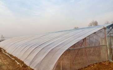 我在山西搭建多肉大棚的过程 图片