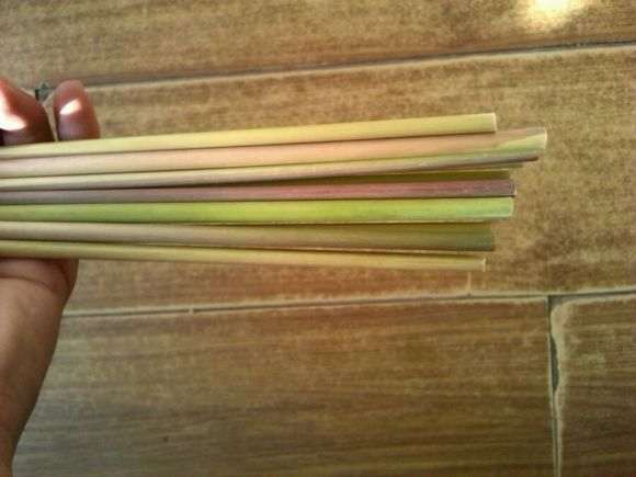 怎么搭建室内多肉大棚的经验