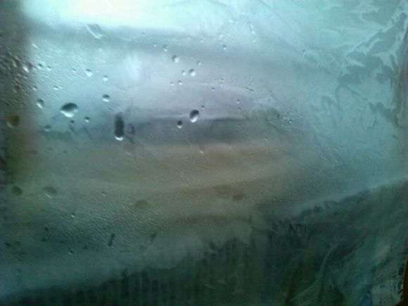 怎么搭建室内多肉大棚的经验