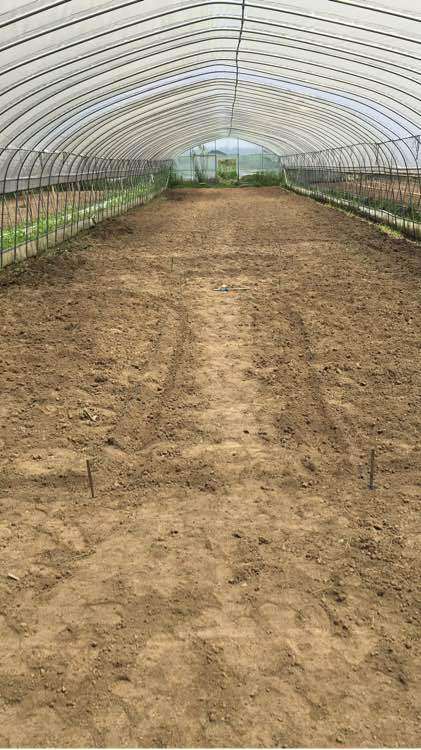 多肉大棚搭建记录贴