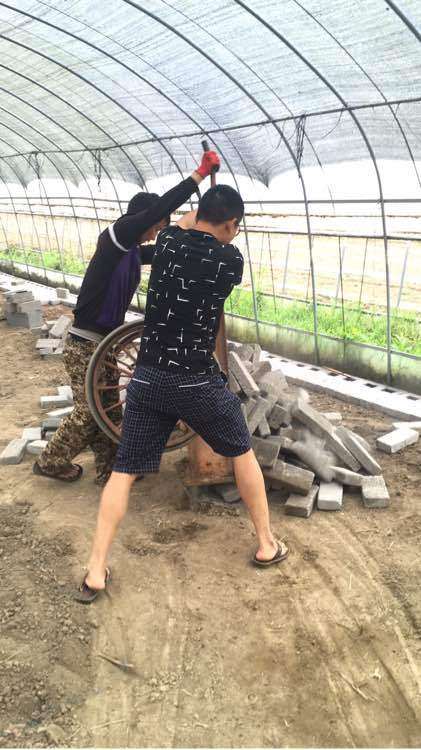 多肉大棚搭建记录贴