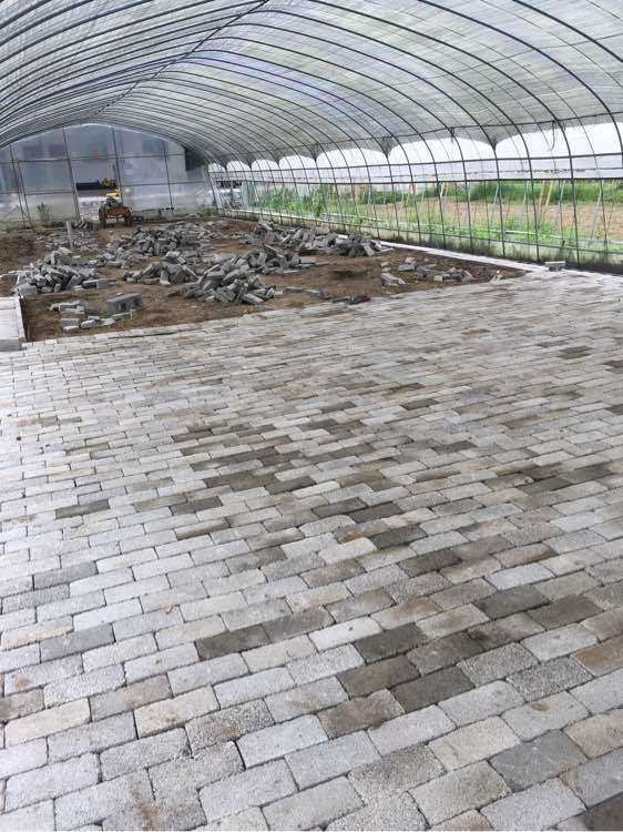 我在德宏搭建多肉大棚 铺砖篇